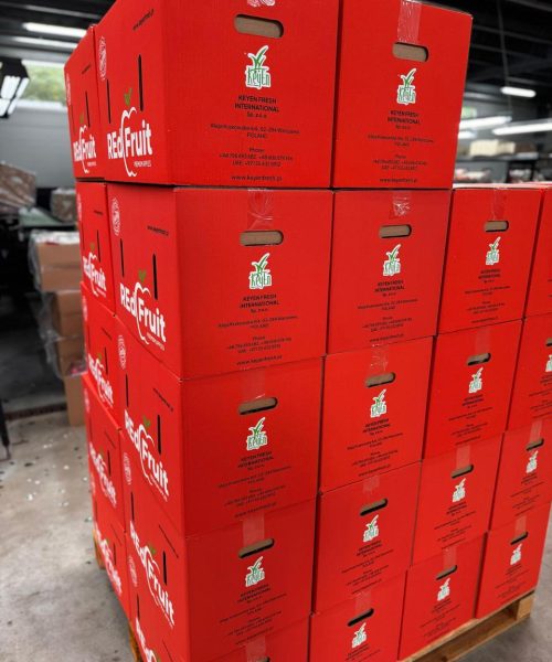 WhatsApp Image 2025-11-01 at 6.51.50 AM