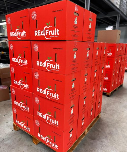 WhatsApp Image 2025-11-01 at 6.51.55 AM